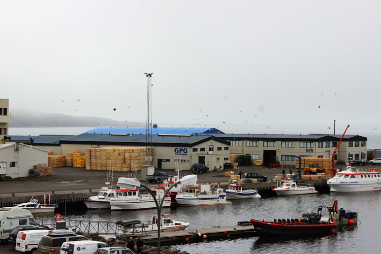Hafen in Island